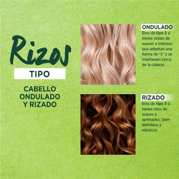 Garnier Curl Shape Defining Spray Gel Type